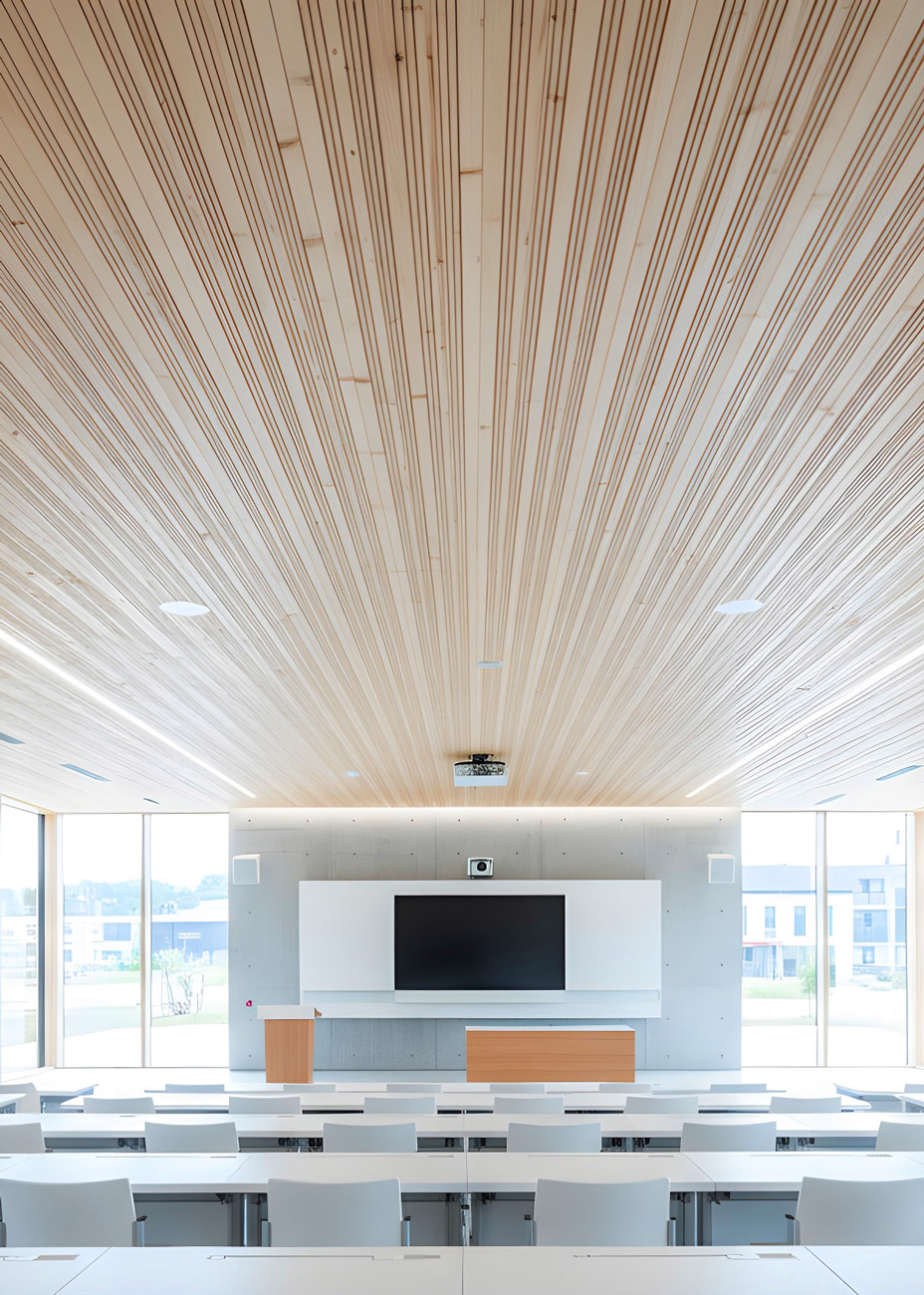 Easy_Timber_Deck_Massivholzdecke_Uni_warm